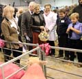 IMG_4224