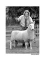 ANM-BCS-808-BW-2399