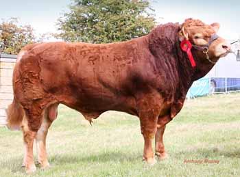 ANM-BCS-814-2843