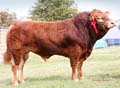ANM-BCS-814-2843