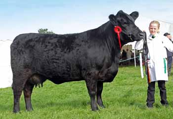 ANM-BCS-817-3210