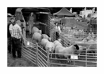 IMG_BW2488