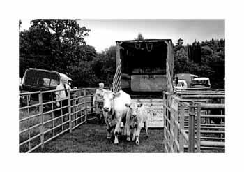 IMG_BW2503