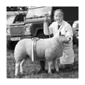 ANM-CS-819-BW2676