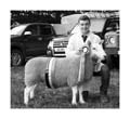 ANM-CS-819-BW2688