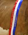 ANM-DS-1015-7915