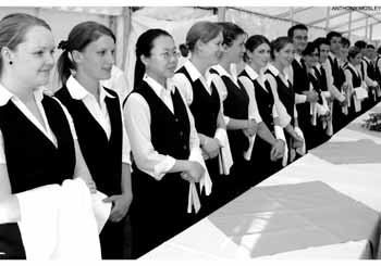 1 x 10 x 7 Waitresses ANM-BW-504-723