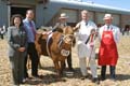 1 x 6 x 4 Keith Jemson Mike Alford Commercial Beef Winner ANM-DCS-1381