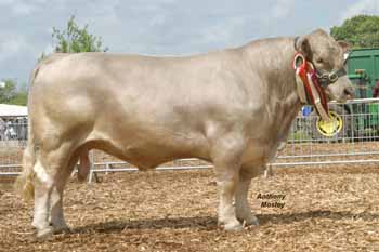 ANM-DCS-506-0018 