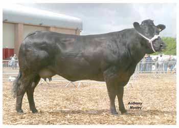 ANM-DCS-506-3422