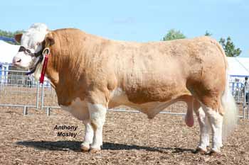 ANM-DCS-507-1400