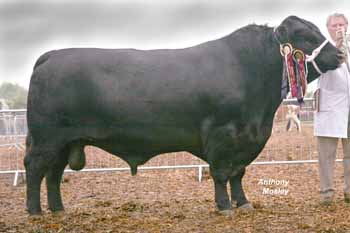 ANM-DCS-508-1398