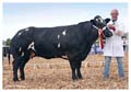 ANM-DCS-511-2073