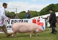 IMG_1953