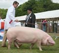 IMG_1955