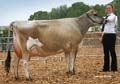 ANM-DCS-512-0674