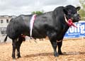 ANM-DCS-514-2807