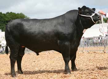 ANM-DCS-515-3182