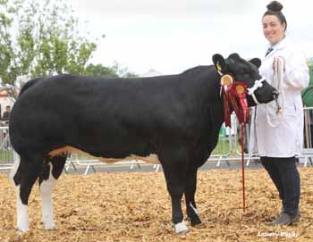 ANM-DCS-517-A1469