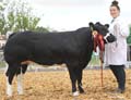 ANM-DCS-517-A1469