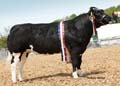 ANM-DCS-518-0261