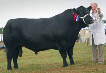 ANM-DS-913-2762