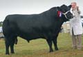 ANM-DS-913-2762