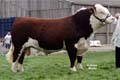 ANM-EES-604-0362