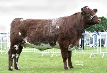ANM-EE-605-2194