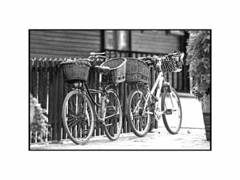 IMG_2973 BW