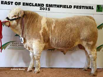ANM-EESF-1115-1582