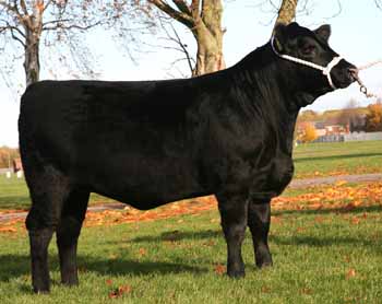ANM-EESF-1116-1658