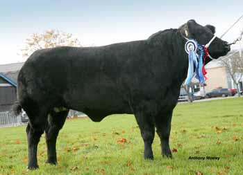 ANM-EESF-1116-1773