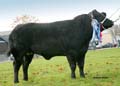 ANM-EESF-1116-1773