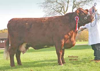 ANM-EEWF-1109-3975