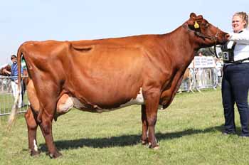 ANM-EOS-819-4819