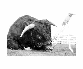 IMG_2164 bw