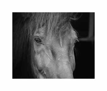 IMG_2297 bw