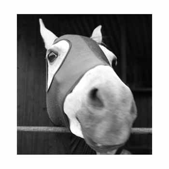 IMG_2315 bw