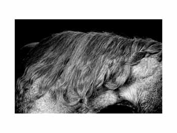IMG_0125 BW