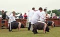 IMG_3969