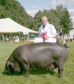 IMG_1971