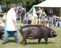 IMG_8134