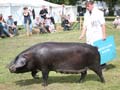 IMG_8137