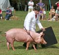 IMG_8159