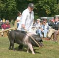 IMG_8189