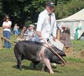 IMG_8190