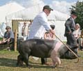 IMG_8193