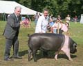 IMG_8194