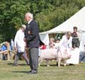 IMG_8454